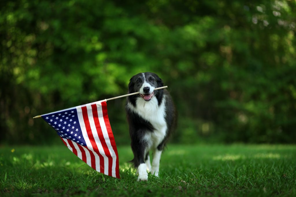 Cool Patriotic Events For Independence Day
